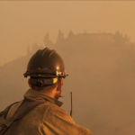 A fire fighter with a large pack, helmet & yellow jacket works on a fire.